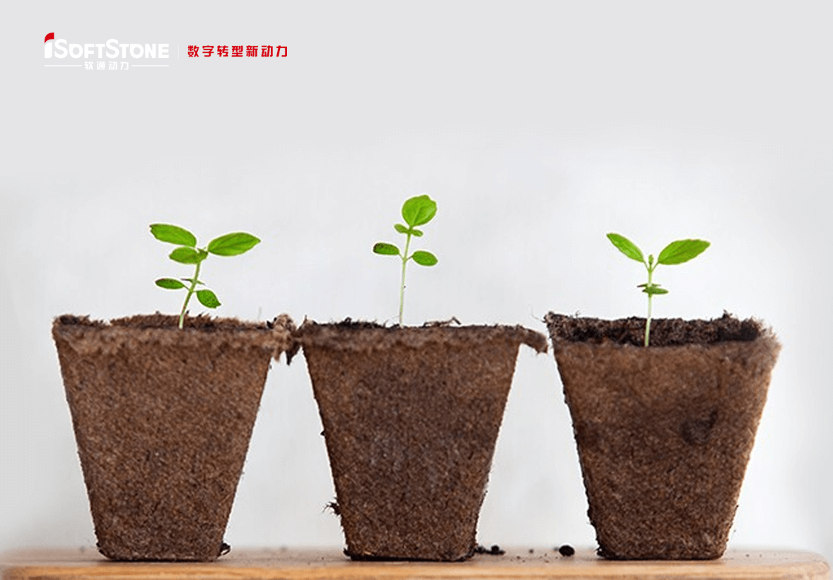 学術的継続可能の革命精神で地方の子供たちに愛を渡す——iSoftStoneは再び公共福祉教育を支援する。。。。。。。